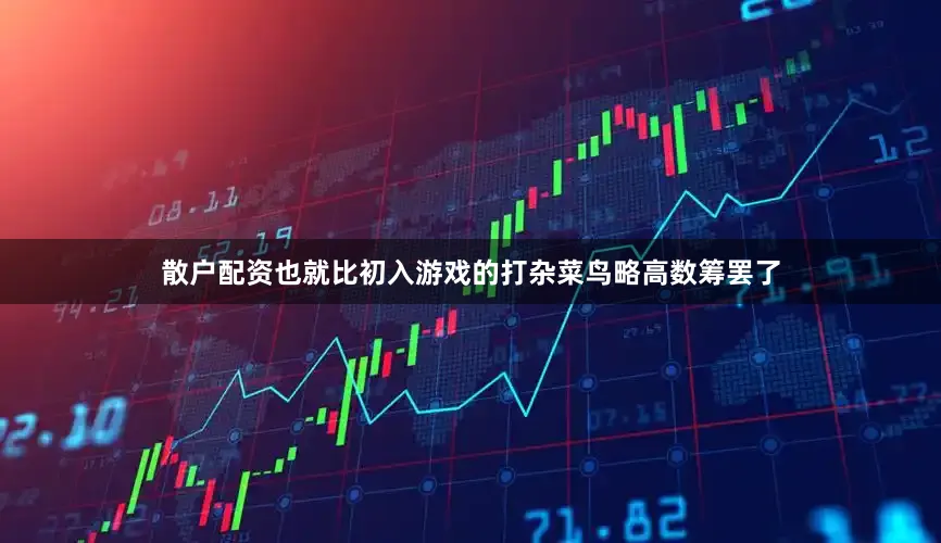散户配资也就比初入游戏的打杂菜鸟略高数筹罢了