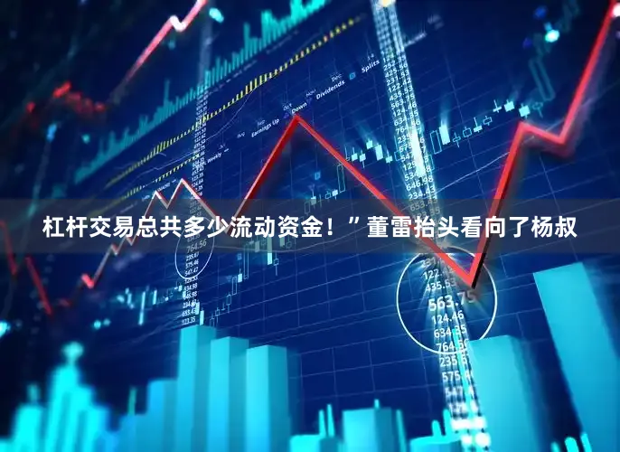 杠杆交易总共多少流动资金！”董雷抬头看向了杨叔