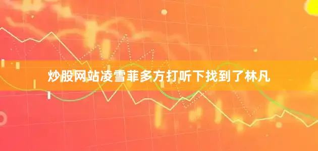 炒股网站凌雪菲多方打听下找到了林凡