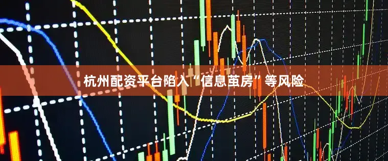 杭州配资平台陷入“信息茧房”等风险