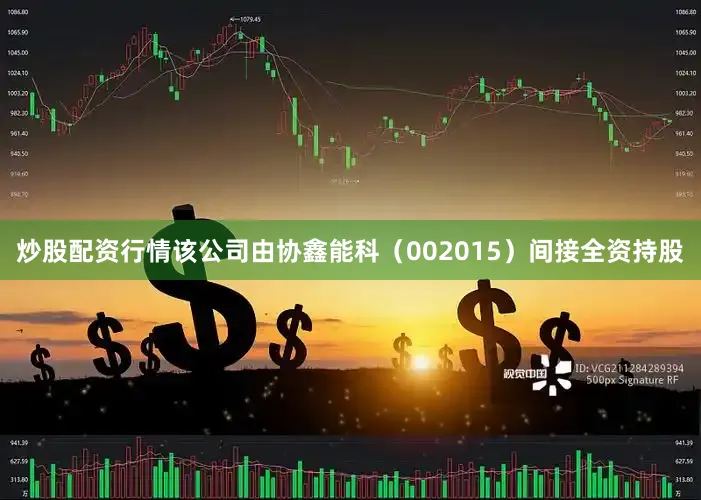 炒股配资行情该公司由协鑫能科（002015）间接全资持股